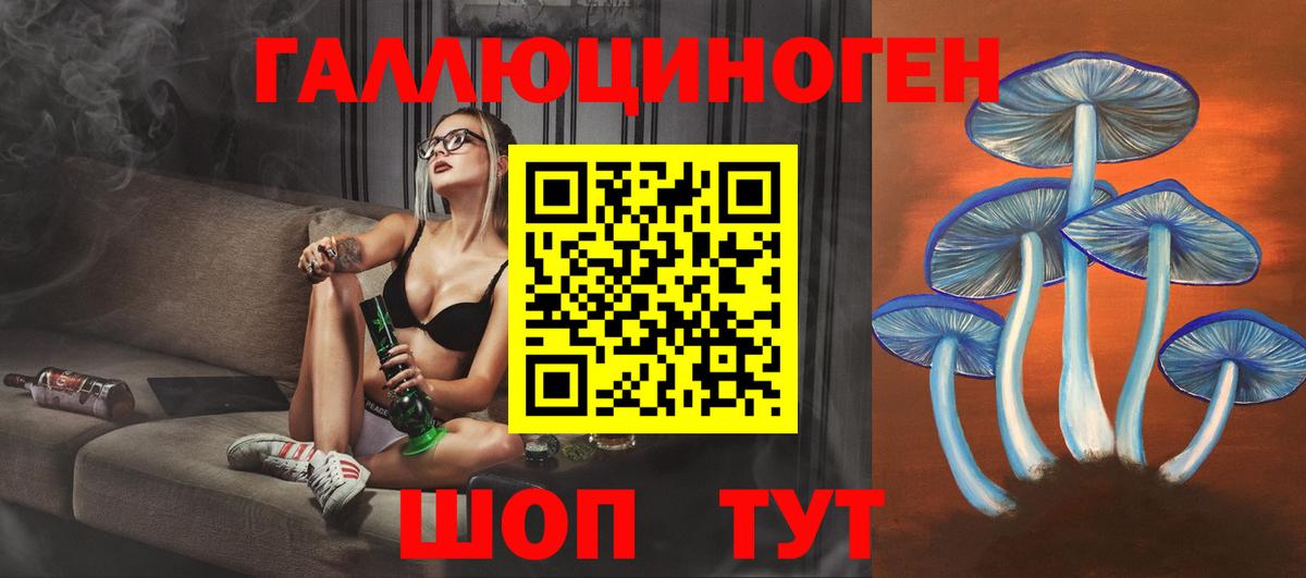 Корсаков  Псилоцибиновые грибы Cubensis  Вход с VPN  Псилоцибиновые грибы GOLDEN TEACHER 